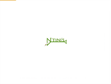 Tablet Screenshot of ntinis.com